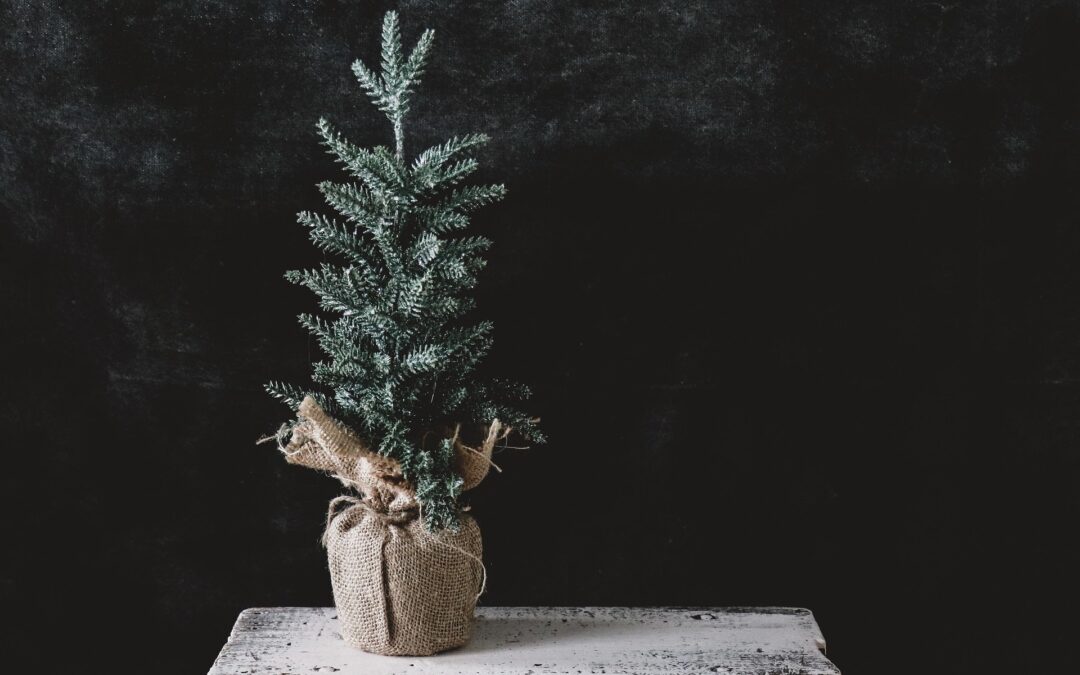 Lessons from a Tree