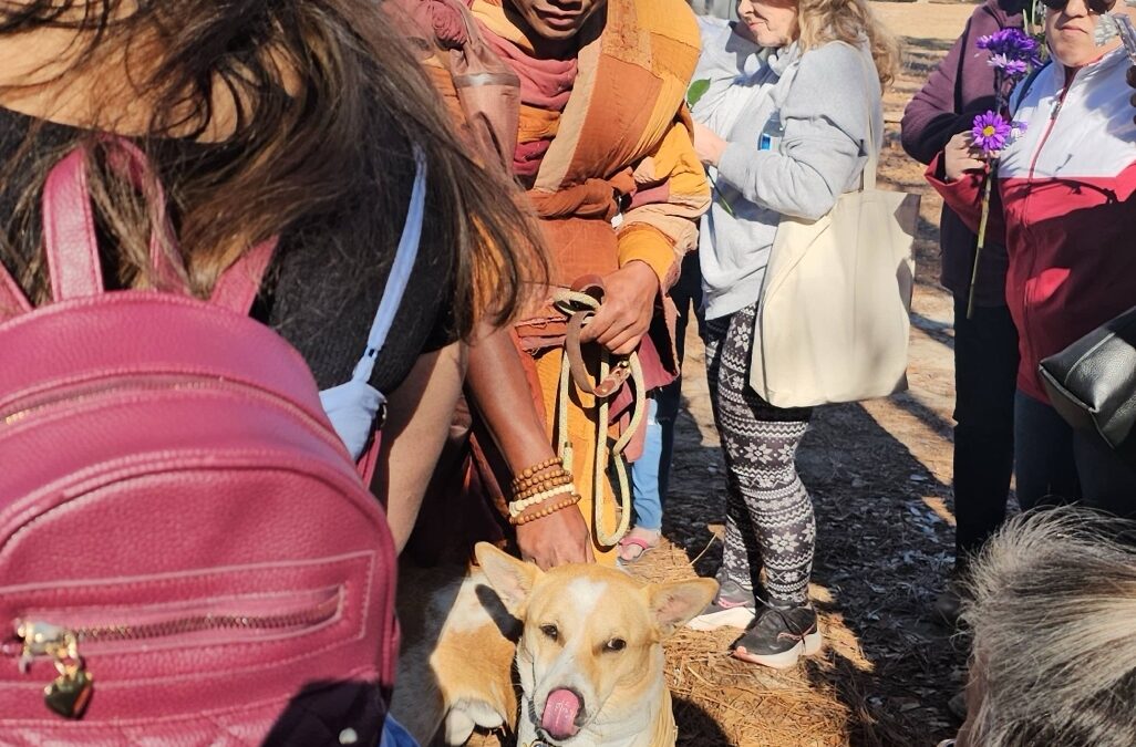 What the Walk for Peace Taught Me