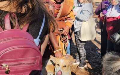 What the Walk for Peace Taught Me